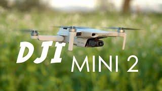 DIE Drohne für Alle - DJI Mini 2