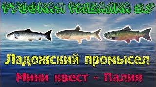 Русская рыбалка 3.9. Ладожский промысел - Палия.