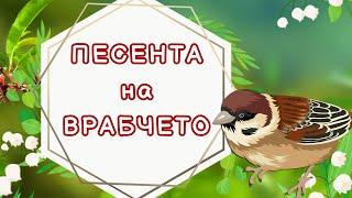 Песента на Врабчето - Детска Песничка - Чик Чик Чики Чики Чик Чирик