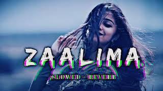 Zalima slowed revarb lofi song  love song  Filmi lofi song  Kishan Lofi Song