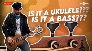 3 Reasons why you should try a Ukulele Bass  Gear4music Guitars