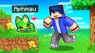 My SECRET Cute Kitten CHEATS In Minecraft