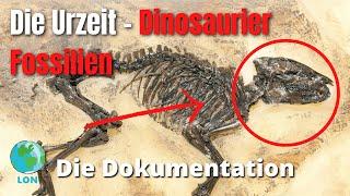 Die Urzeit - Fossilienfunde der Dinosaurier 2021  DEUTSCH  DOKU  DINOSAURIER