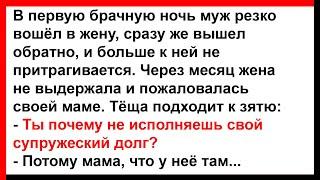 Почему зять не исполнял свой супружеский долг?... Анекдоты Юмор Позитив