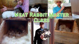 Raising Meat Rabbits The Ultimate Guide