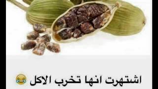 ما تشتهر به بعض الأمور