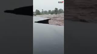 Viral Video  Rainfall In Gujarat  Part Of Bridge Collapsed  #shorts  #rain  #trending  #viral