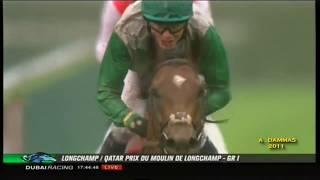 Excelebration - 2011 Prix Du Moulin De Longchamp G1