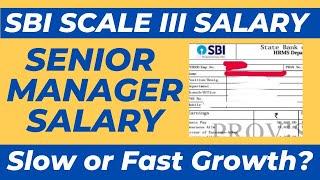 SBI Senior Manager Latest Salary Slip 2024 After Wage RevisionWage Revision Comparison with LIC AAO