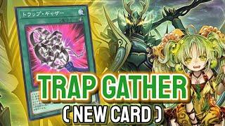 New Spell Supports Trap YGOPRO - Trap Gather  Raika Traptrix May.2024  New Card