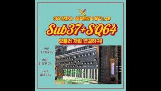 Connecting Moog sub37 to SQ64 like a modular. Tutorial in Korean.