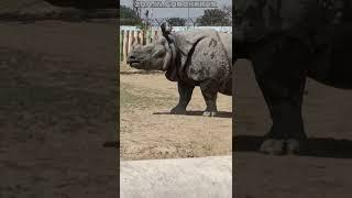 zoo. in. Gorakhpur. ***09. all animals.