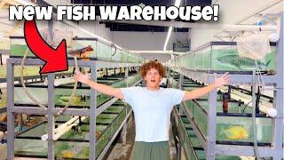 I Bought EXOTIC AQUARIUM FISH From NEW WAREHOUSE