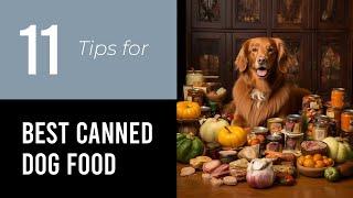 11 Tips On Best Canned Dog Food For Seniors