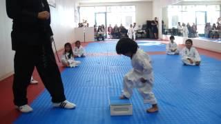 3-Year-Old Tries to Break Board in Taekwondo  Taekwondo Kid