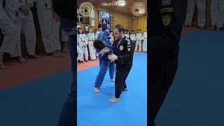 The training part 1 - Real Aikido