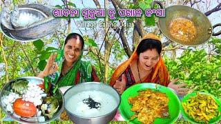ଶାବଳା ସୁକୁଆ କୁ ପଖାଳ କଂସା  Luni Sukhua ku Pakhala Bhata Eating Challenge @Villageeatingodia
