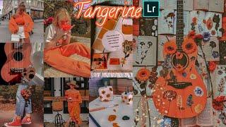 TANGERINE - Lightroom Mobile Tutorial Free DNG