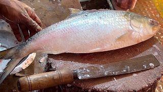 Amazing cutting Skills  Delicious Hilsa-Rohu-Katla Fish Cutting Skills In Fish Market