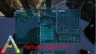 Ark Defense against Whale Loot players
