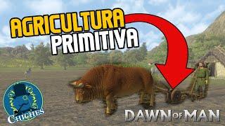 AGRICULTURA PRIMITIVA  Dawn Of Man