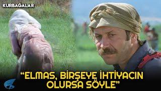 Kurbağalar Türk Filmi  Elmas Dul Kalıyor