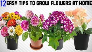 12 Tricks To Grow Tons of Flowers at Home  EASY TIPS