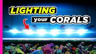 Fine Tuning Your Reef Tank Lights