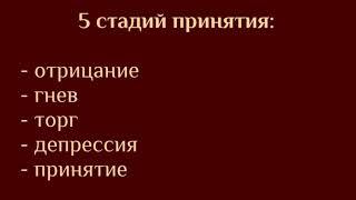 Почему несогласие с моим мнением вызывает гнев? 5 стадий принятия  Константин Мухин