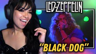 SEDUCED BY ZEPPELIN?  Led Zeppelin - Black Dog FIRST TIME REACTION