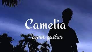 Camelia cover guitar by room.