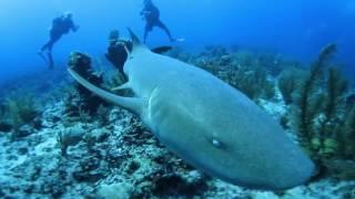 Keymission 360 test dive Belize 2016