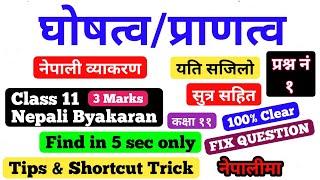 घोषत्व र प्राणत्व  Class 11 Nepali Byakaran नेपाली व्याकरण  find in only 5 sec  Tips & Tricks