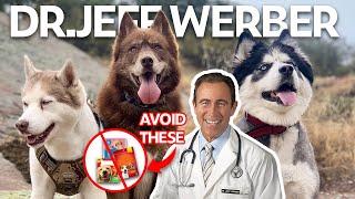 Dr. Jeff Werber Avoid these dog snacks at all costs  Mike OHearn