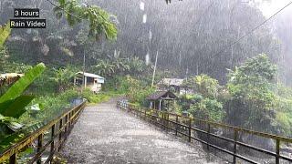 Heavy rain in the beautiful countryside of Indonesiasleep soundly in 5 minutes