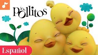 Los Pollitos Dicen Pio Pio Pio  Canción infantil español  Cartoons for babies and kids in Spanish