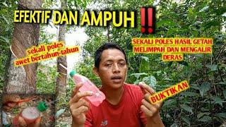 EFEKTIF DAN AMPUH ‼️ PAKAI CARA INI AGAR GETAH KARET MELIMPAH DAN BANYAK  PETANI KARET BAHAGIA