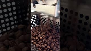 Dumping Some Fresh Coffee Beans from Kaleido M6