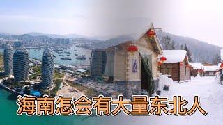 海南快变成东北第四省了！大量东北人移居海南的原因是什么？