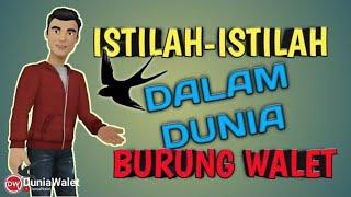 ISTILAH DALAM DUNIA WALET