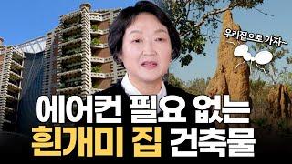 에어컨 필요없는 흰개미 집 건축물｜보물지도