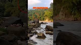 itulah resikonya ‼️ jika mancing di sungai yg berbatu kail pancing sering tersangkut  #shorts