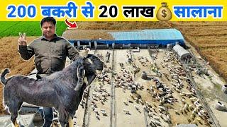 इंजीनियर साहब का शानदार बकरी फार्म  Job छोड़ शुरू किया Goat farming