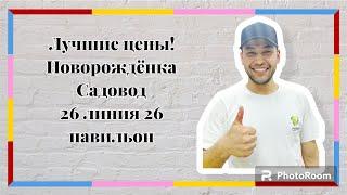 Шок цены на одежду для новорожденныхТакого предложения ещё не былоТК Садовод москва