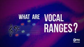 What Are Vocal Ranges?  Acapocalypse A Cappellas New Note