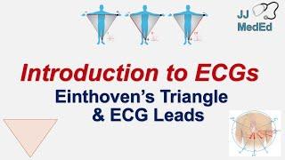 Introduction to ECG  The Basics  Einthoven’s Triangle Limb Augmented and Precordial Leads