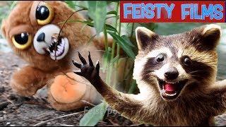 Insane Feisty Nature Compilation vol. 1