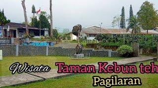 wisata kebun teh pagilaran Batang  cocok buat wisata keluarga & muda mudi