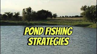 The Only 4 Lures You Need For Pond Fishing