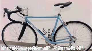 Beautiful Bicycle Surly Pace